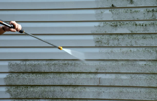 Best Roof Pressure Washing  in Eagle Lake, MN