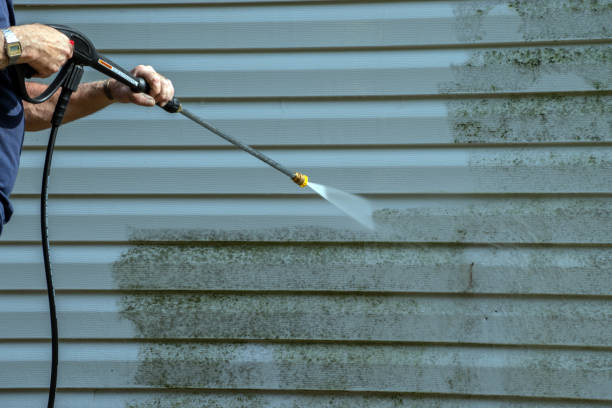 Best House Pressure Washing  in Eagle Lake, MN