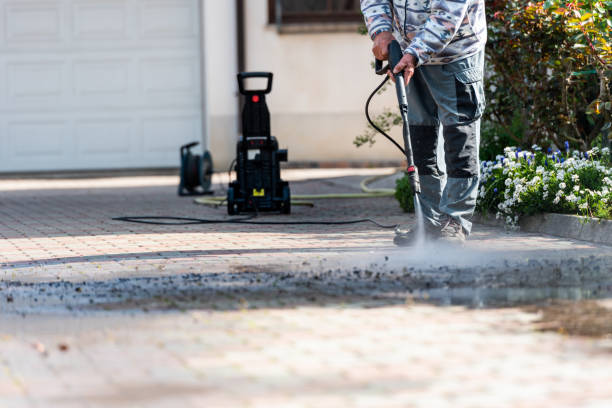 Best Exterior Home Cleaning  in Eagle Lake, MN