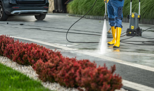 Best Roof Power Washing Services  in Eagle Lake, MN