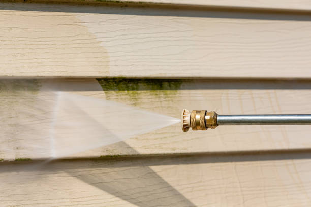 Local Pressure Washing Services in Eagle Lake, MN